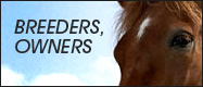 Information provided by Thoroughbred Tax Consultants for horse breeders and thoroughbred owners.